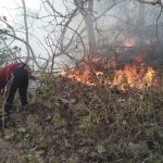 2 Hektar Lahan di Gunung Nepen Ludes Terbakar Gara – gara Puntung Rokok