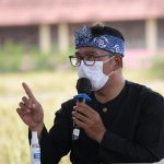 Diproyeksikan Swasembada Beras, Jabar Tingkatkan Produktivitas