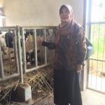 Kunjungi UPTD Satuan Pelayanan Balai Benih Padi dan Palawija Kabupaten Garut, Hj. Lilis Boy Dorong Inovasi dan Teknologi di Bidang Pertanian