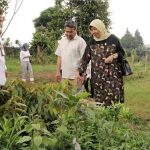 Komisi II DPRD Jabar Tinjau Satpel UPTD Balai Pengembangan Benih Hortikultura Cimangkok Sukabumi