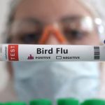 Belum Ditemukan Varian 2.3.4.4b di Jabar, Pemdaprov Lakukan Tujuh Langkah Pencegahan Flu Burung