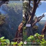 Bey Machmudin: Kebakaran Hutan di Gunung Tangkubanparahu dalam Penanganan Otoritas Terkait Bey Machmudin: Kebakaran Hutan di Gunung Tangkubanparahu dalam Penanganan Otoritas Terkait
