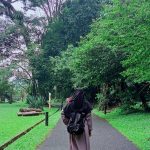 Luka Tak Bertepi, Islam Hadirkan Musim Semi