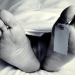 Krisis Kejiwaan Remaja, Buah Pendidikan Sekuler