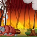 Hutan Indonesia Terus Menyusut: Pancasila Diabaikan, Alampun Mengamuk