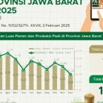 Jabar Optimistis Produksi Padi 2026 Meningkat Meski Terjadi Banjir