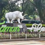 BADAK PUTIH: Hanyalah Mitos BADAK PUTIH: Hanyalah Mitos