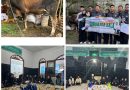 UiTM Malaysia Salurkan Sapi Kurban, Bantuan Rp 10 Juta dan 250 Bingkisan Yatim melalui Kolaborasi Internasional pada Program Pengabdian Masyarakat Bersama FEBI dan Prodi Manajemen UIN Bandung