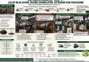 Kisah Sampah ke GRAMMOR (WtA) Bagian 16: Cetak Biru Kebutuhan Struktural Pabrik GRAMMOR dari Sampah