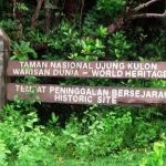 UJUNG KULON: Altar Mitigasi Krakatau dan Saksi Bisu Sundaland yang Tenggelam